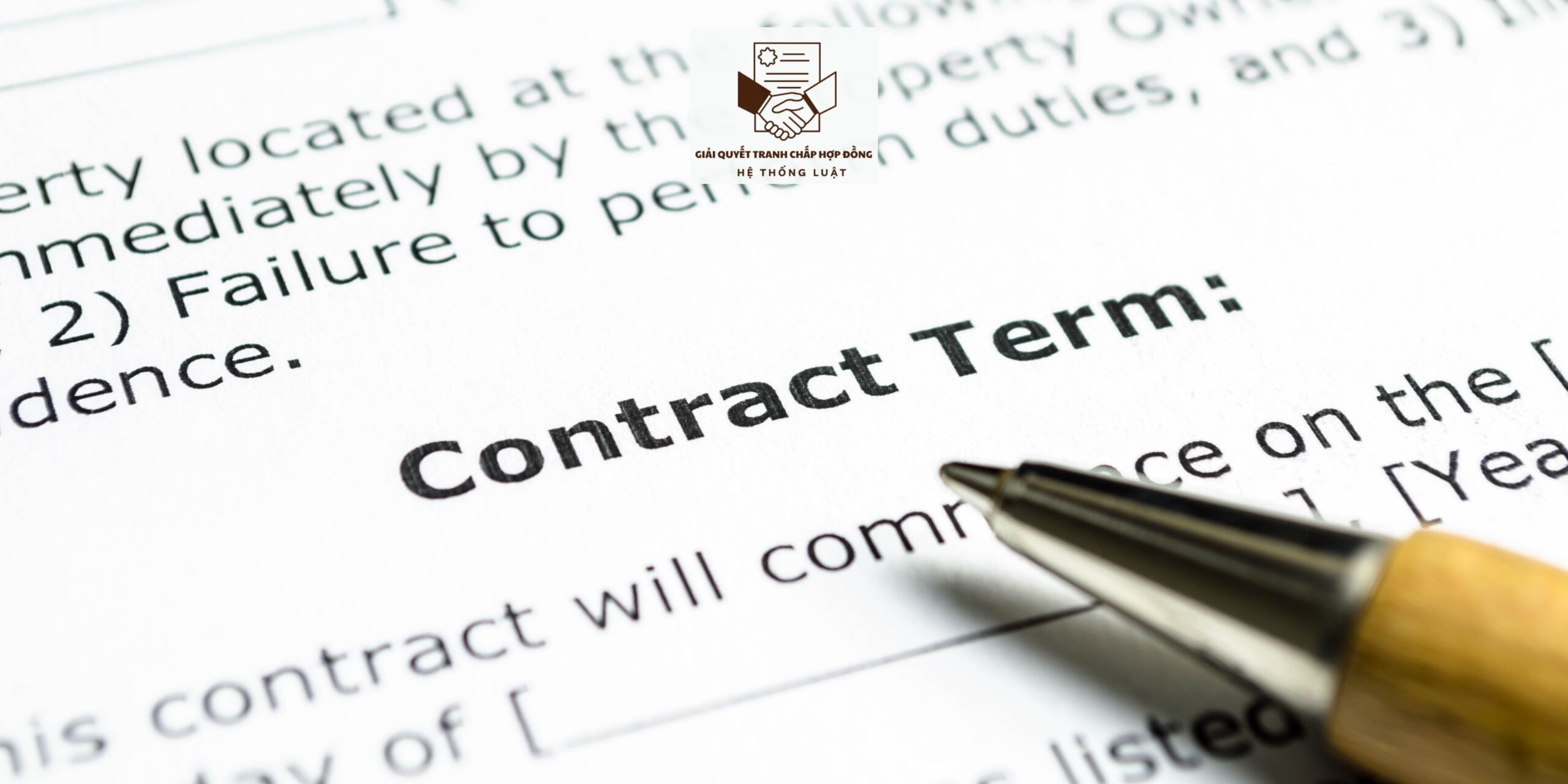 Gói hỗ trợ xử lý tranh chấp Hợp đồng vận chuyển hành khách ở khu vực Việt Thắng, Phú Tân, Cà Mau - Ảnh 2