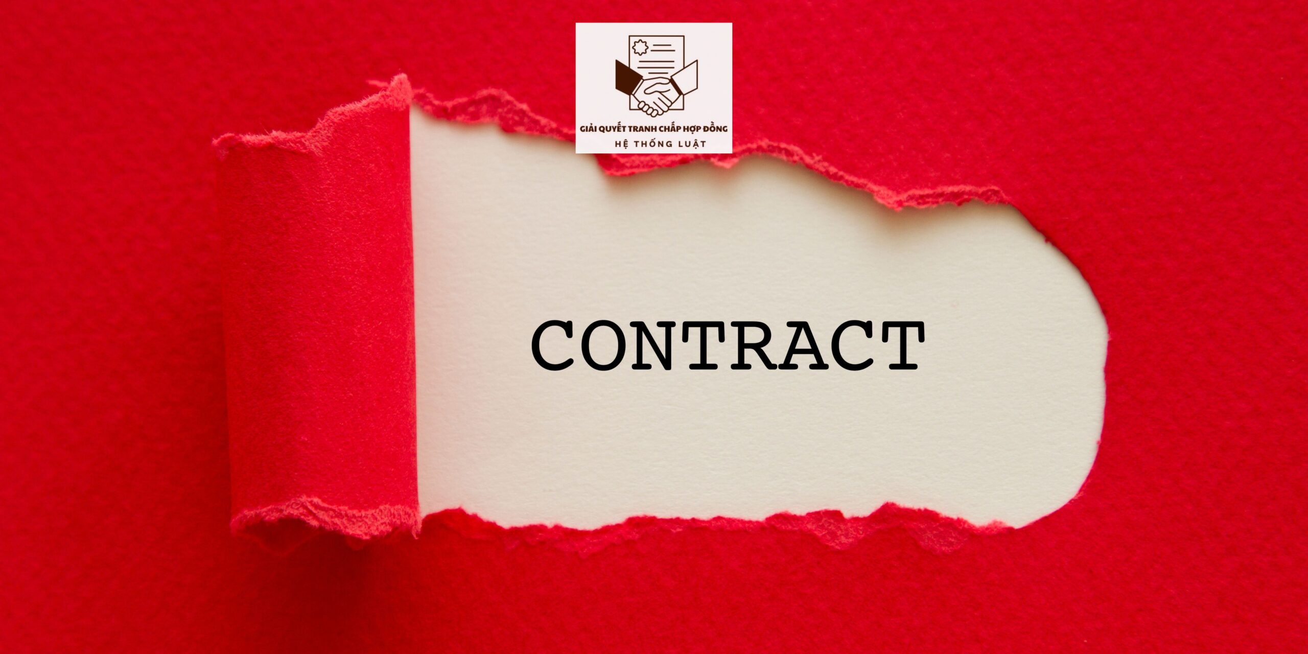 [TOÀN TRƯƠNG GIẢI QUYẾT TRANH CHẤP HỢP ĐỒNG GIA CÔNG GIA SÚC] – Gói dịch vụ xử lý tranh chấp Hợp đồng thuê gia súc địa điểm Tân Hưng Tây, Phú Tân, Cà Mau - Ảnh 2