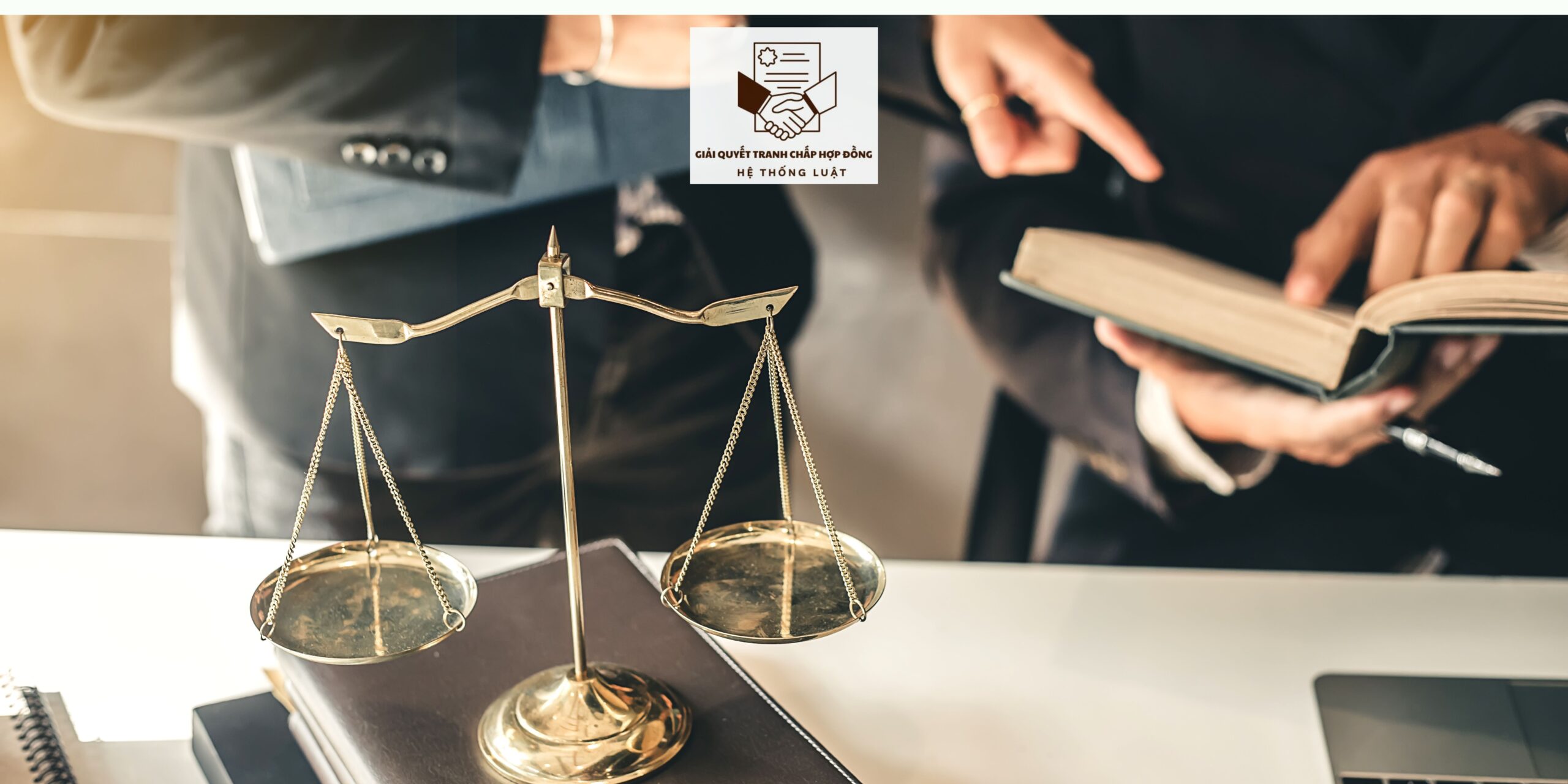 [TOÀN TRƯƠNG GIẢI QUYẾT TRANH CHẤP HỢP ĐỒNG DỊCH VỤ] – Hỗ trợ trọn gói xử lý tranh chấp Hợp đồng dịch vụ địa điểm Tân Ân Tây, Ngọc Hiển, Cà Mau - Ảnh 2