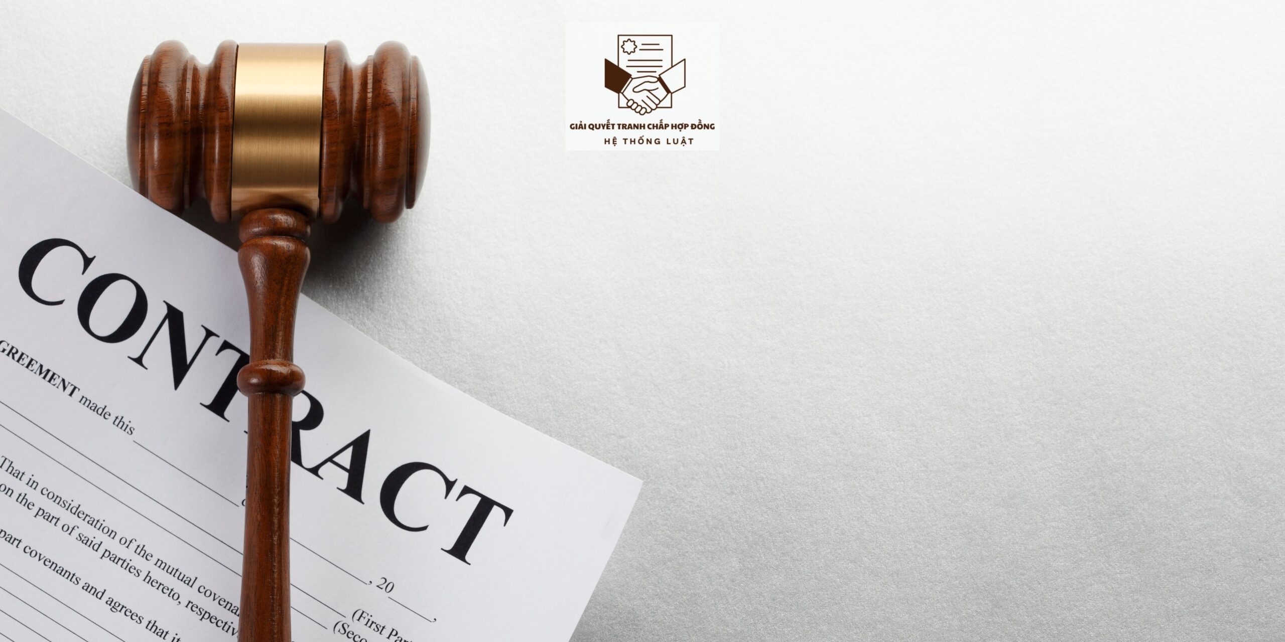 [TẠ AN KHƯƠNG ĐÔNG, ĐẦM DƠI, CÀ MAU] – Gói dịch vụ Luật sư xử lý tranh chấp Hợp đồng dịch vụ kế toán - Ảnh 2