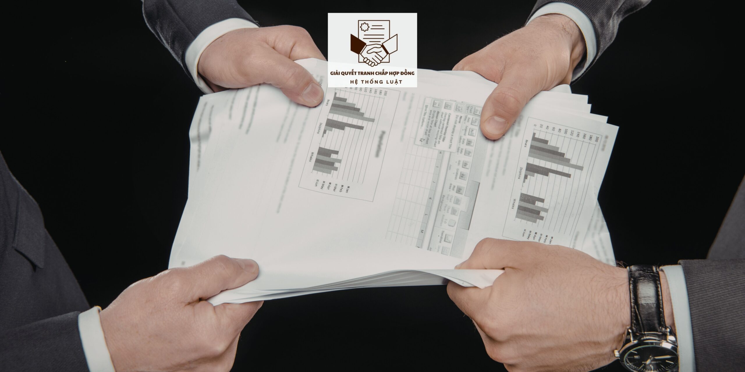 Gói dịch vụ giải quyết tranh chấp Hợp đồng Góp vốn kinh doanh khu vực xã Đan Điền, Thành phố Huế - Ảnh 2