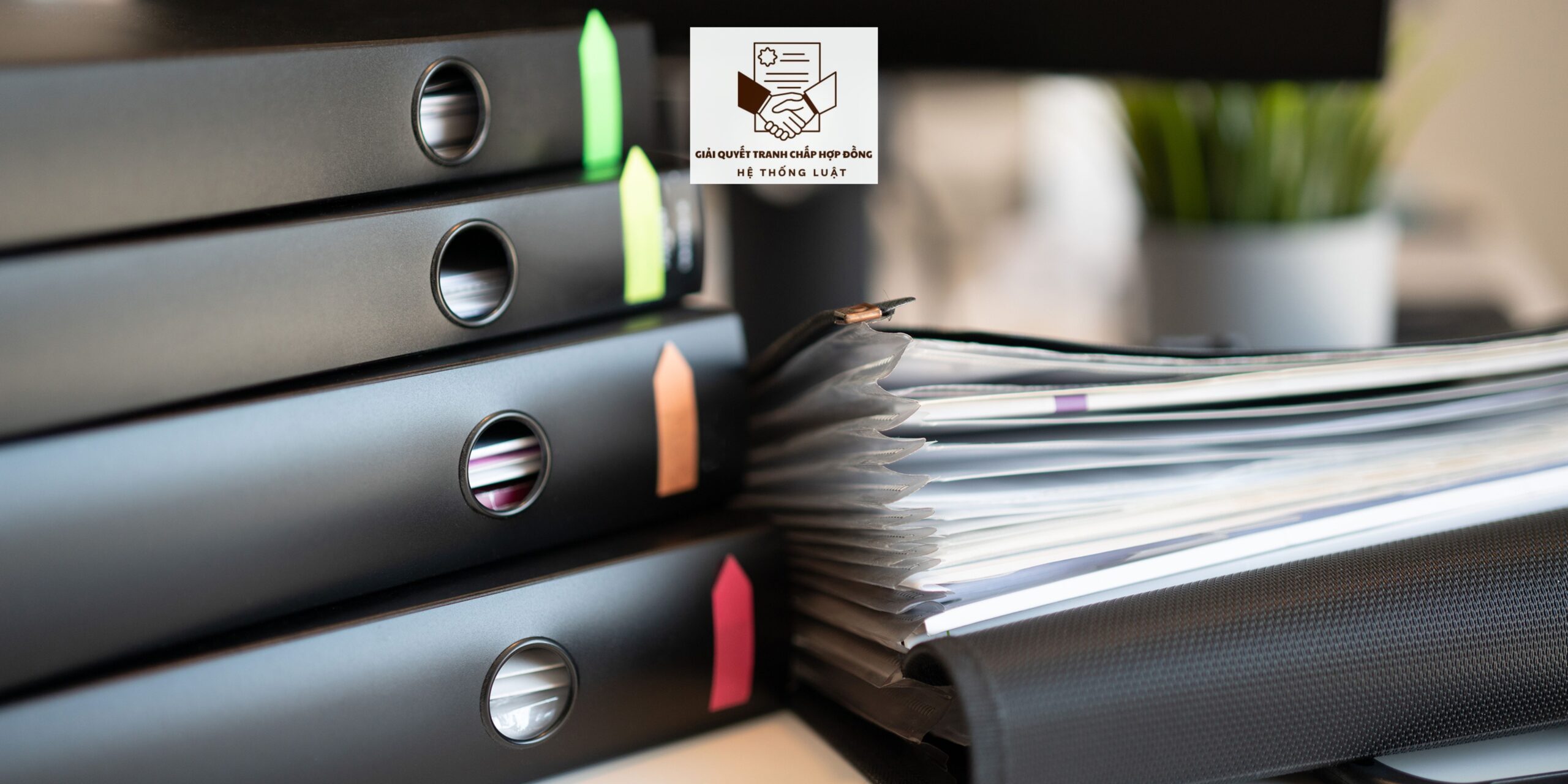 [TOÀN TRƯƠNG GIẢI QUYẾT TRANH CHẤP HỢP ĐỒNG THUÊ NHÀ] – Dịch vụ tư vấn xử lý tranh chấp Hợp đồng Thuê nhà tại Tân Tiến, Đầm Dơi, Cà Mau - Ảnh 2